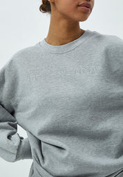 Beyond Now Blaire sweatshirt Sweatshirt 113M Grey Melange
