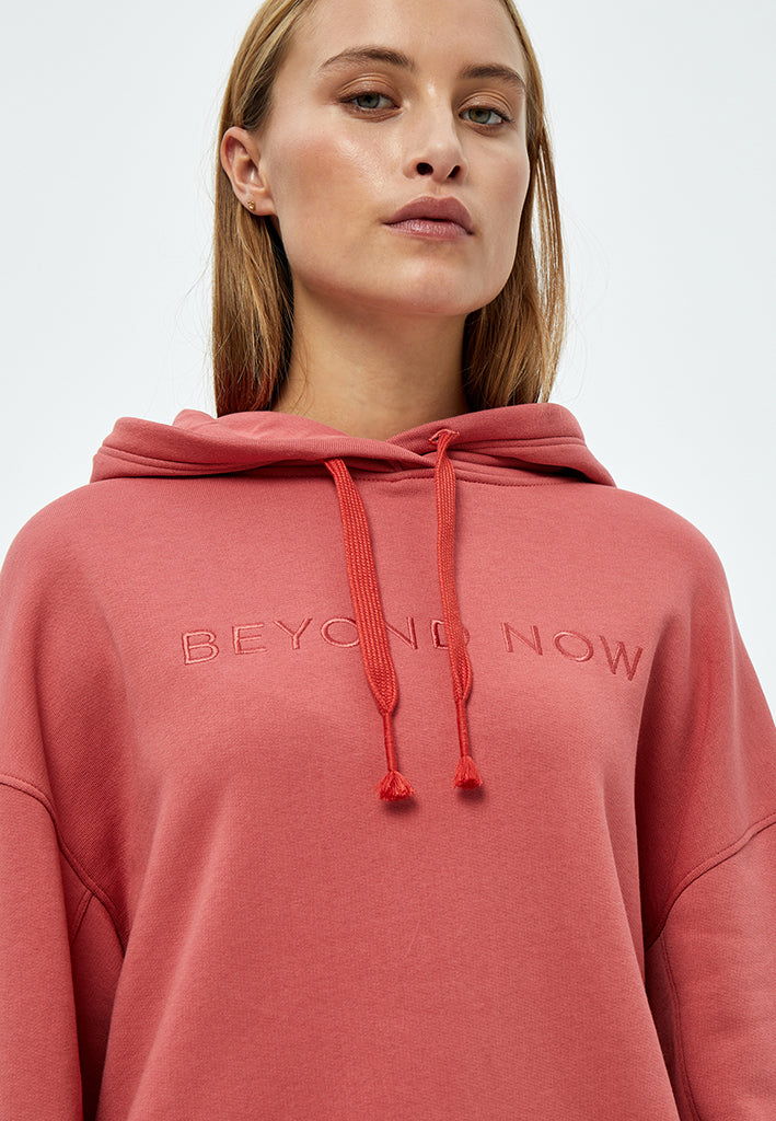 Brielle hoodie - Grey Melange – Beyond ENG