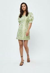 Peppercorn Marcy Jacquard V-Neck Dress Dress 3254P Green Mint Print